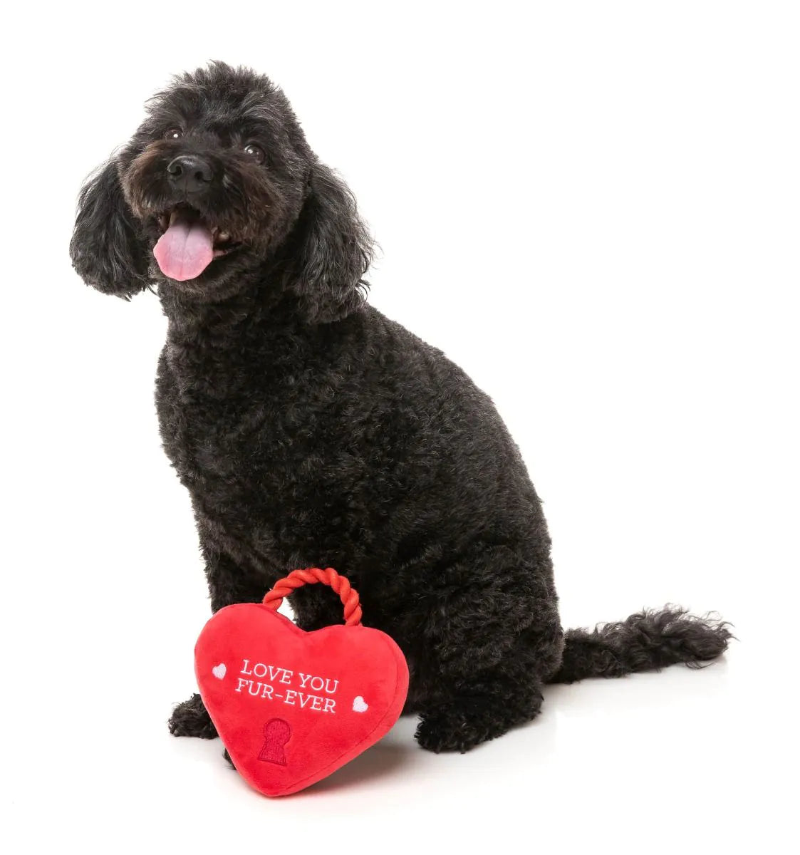Coco & Pud Love You Fur-ever Red Heart Lock Dog Toy with black Cavoodle Dog - Fuzzyard