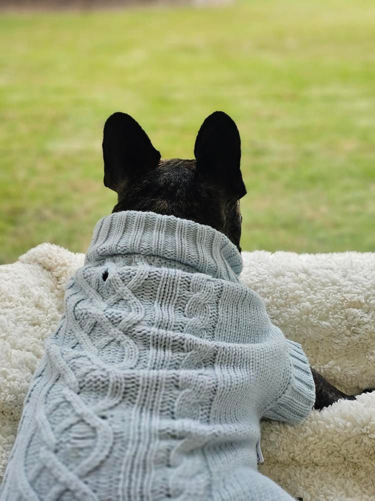 Coco Cable Dog Sweater/ Dog Jumper - Powder Blue