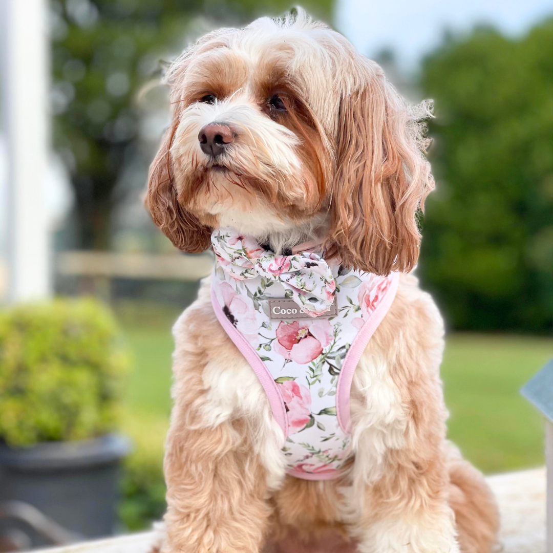 Rose Rope Lead/ Leash