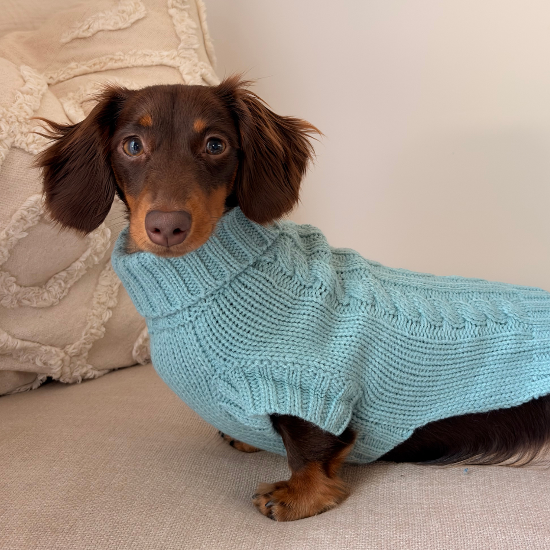 NEW! Coco & Pud Coco Cable Dog Sweater/ Dog Jumper - Mist