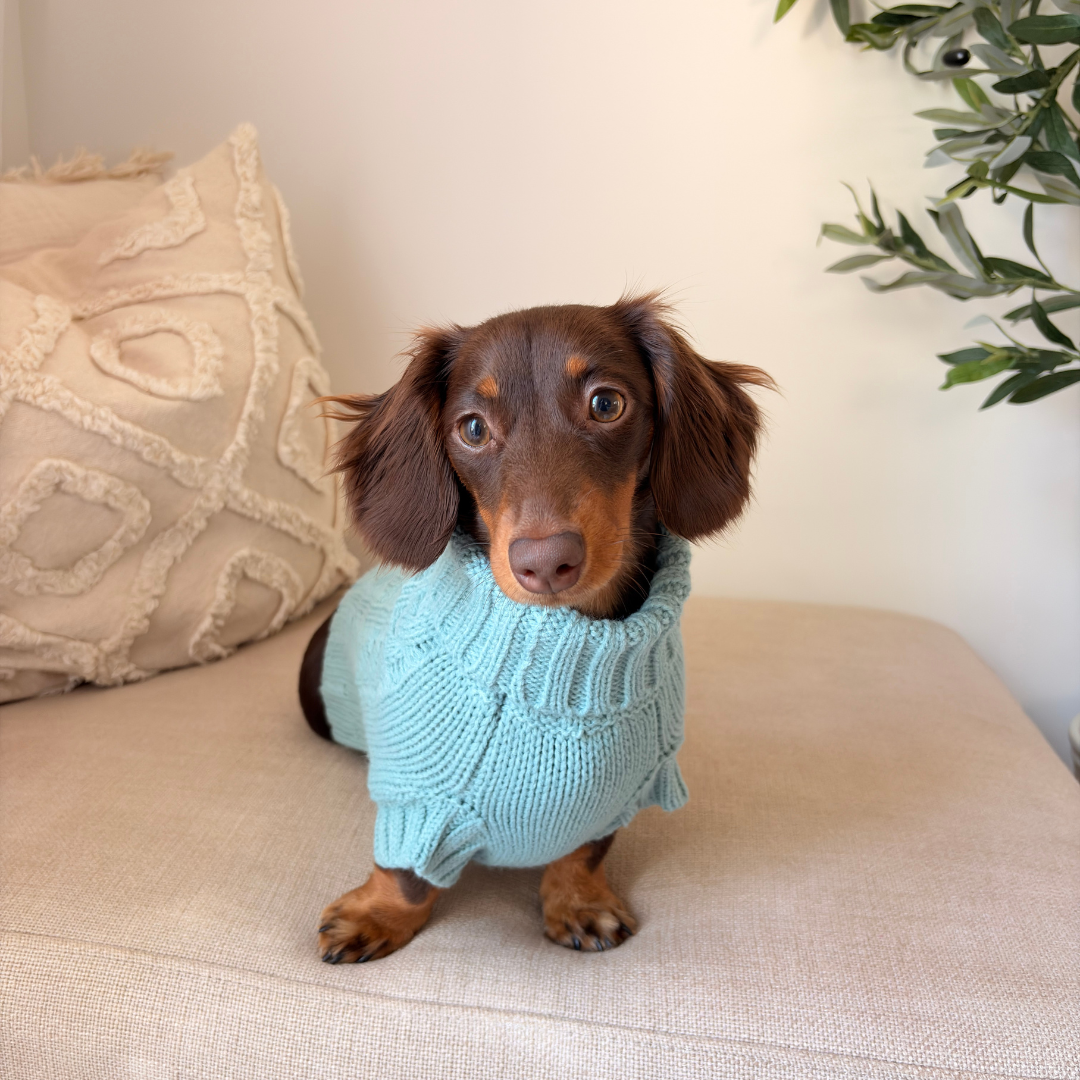 NEW! Coco & Pud Coco Cable Dog Sweater/ Dog Jumper - Mist