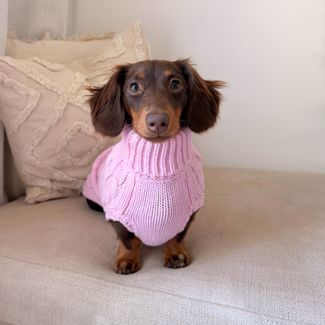 Coco & Pud Dachshund Cable Dog Sweater/ Dog Jumper - Light Pink