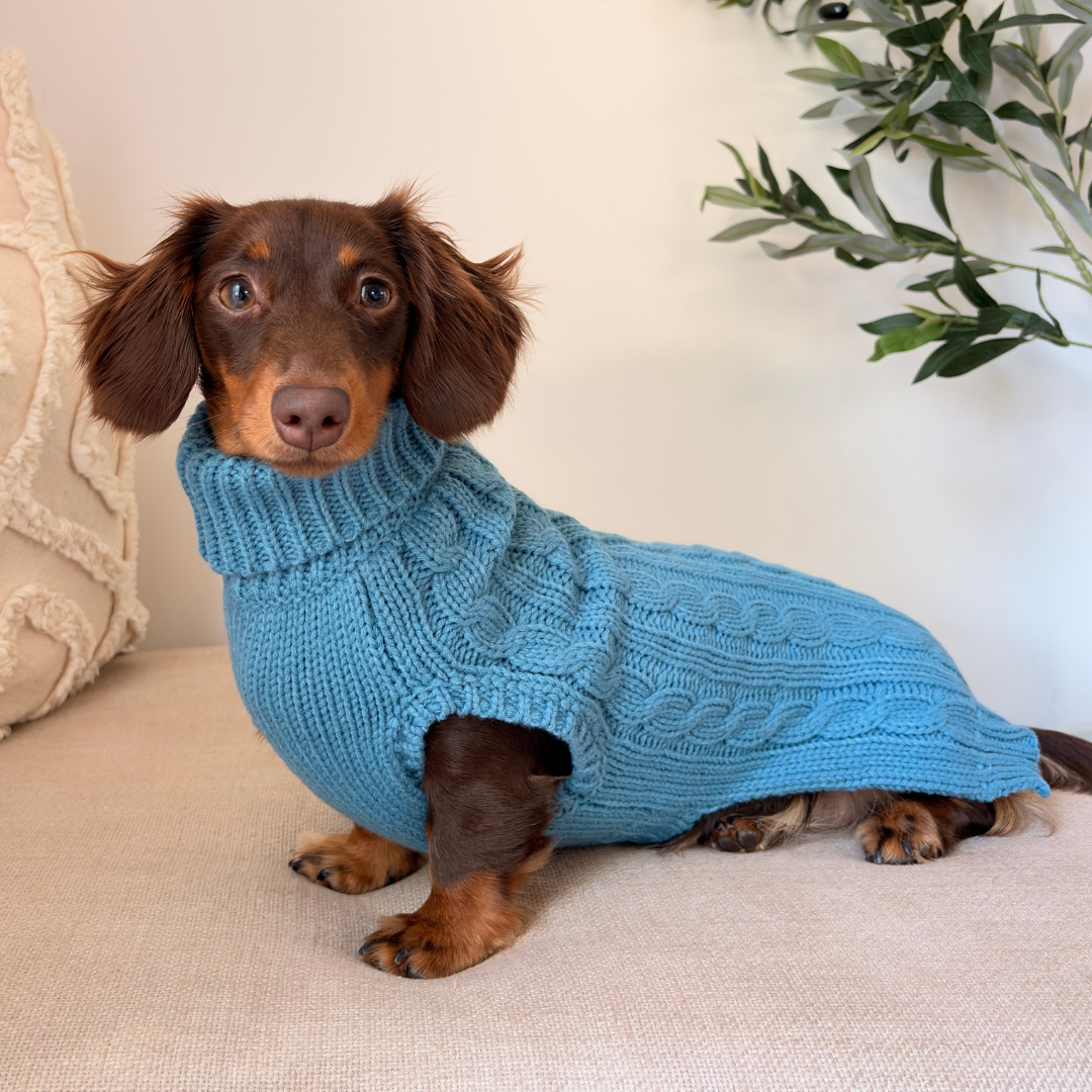 NEW! Coco & Pud Dachshund Cable Dog Sweater/ Dog Jumper - Marine