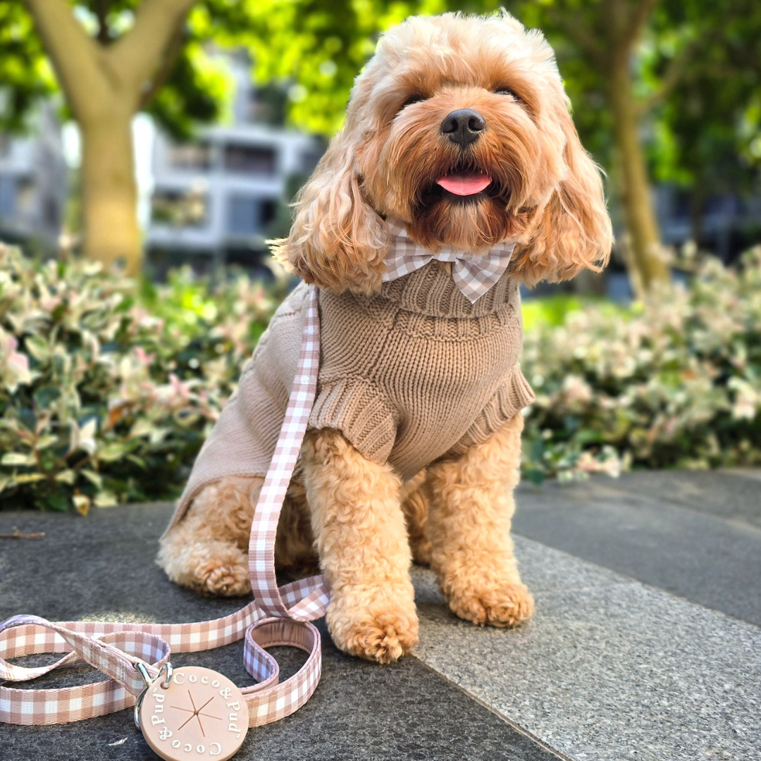 Gingham Mocha Dog lead/ Leash