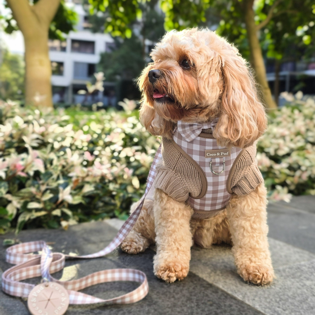 Gingham Mocha Adjustable Dog Harness