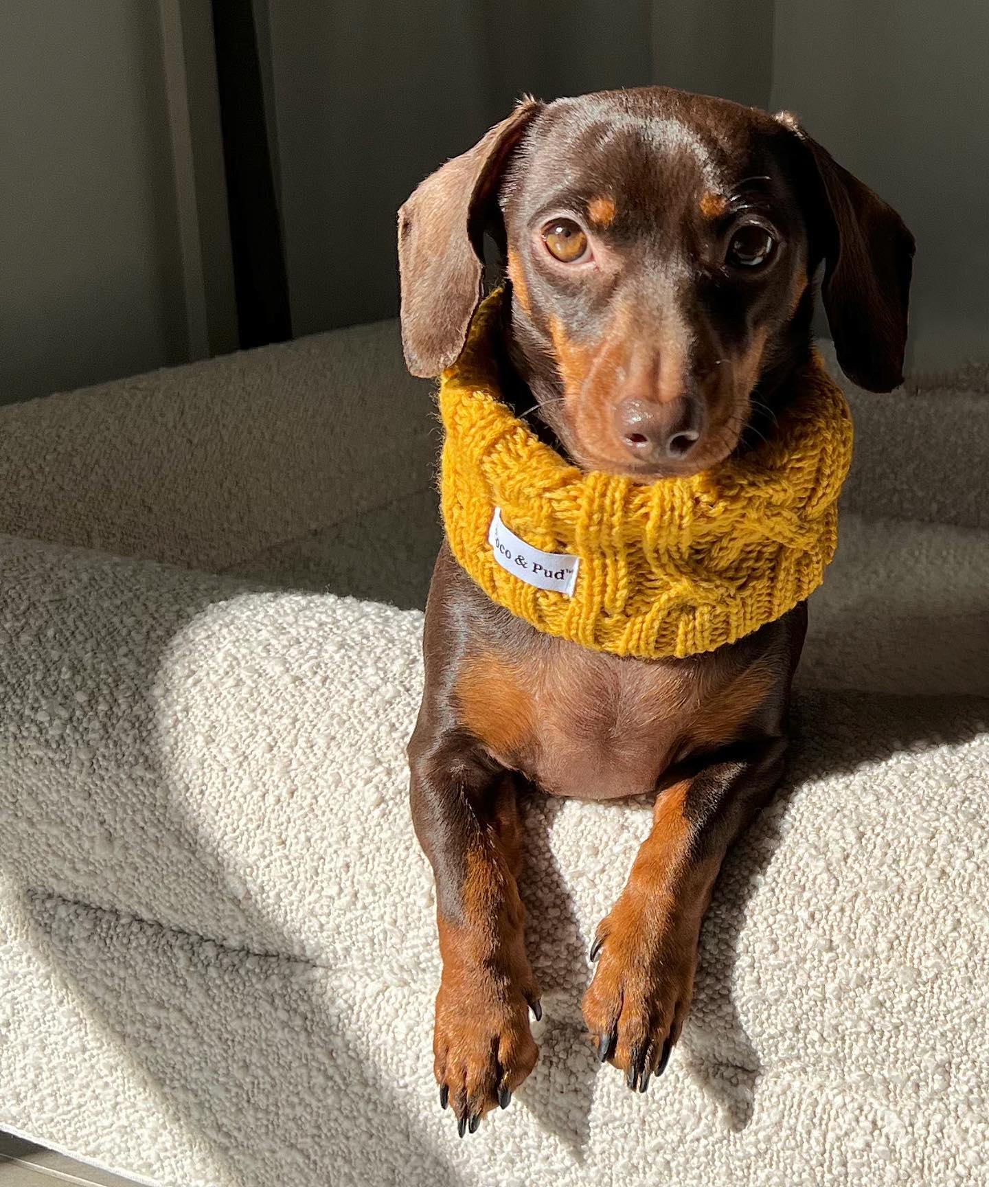Coco Cable Snood - Mustard
