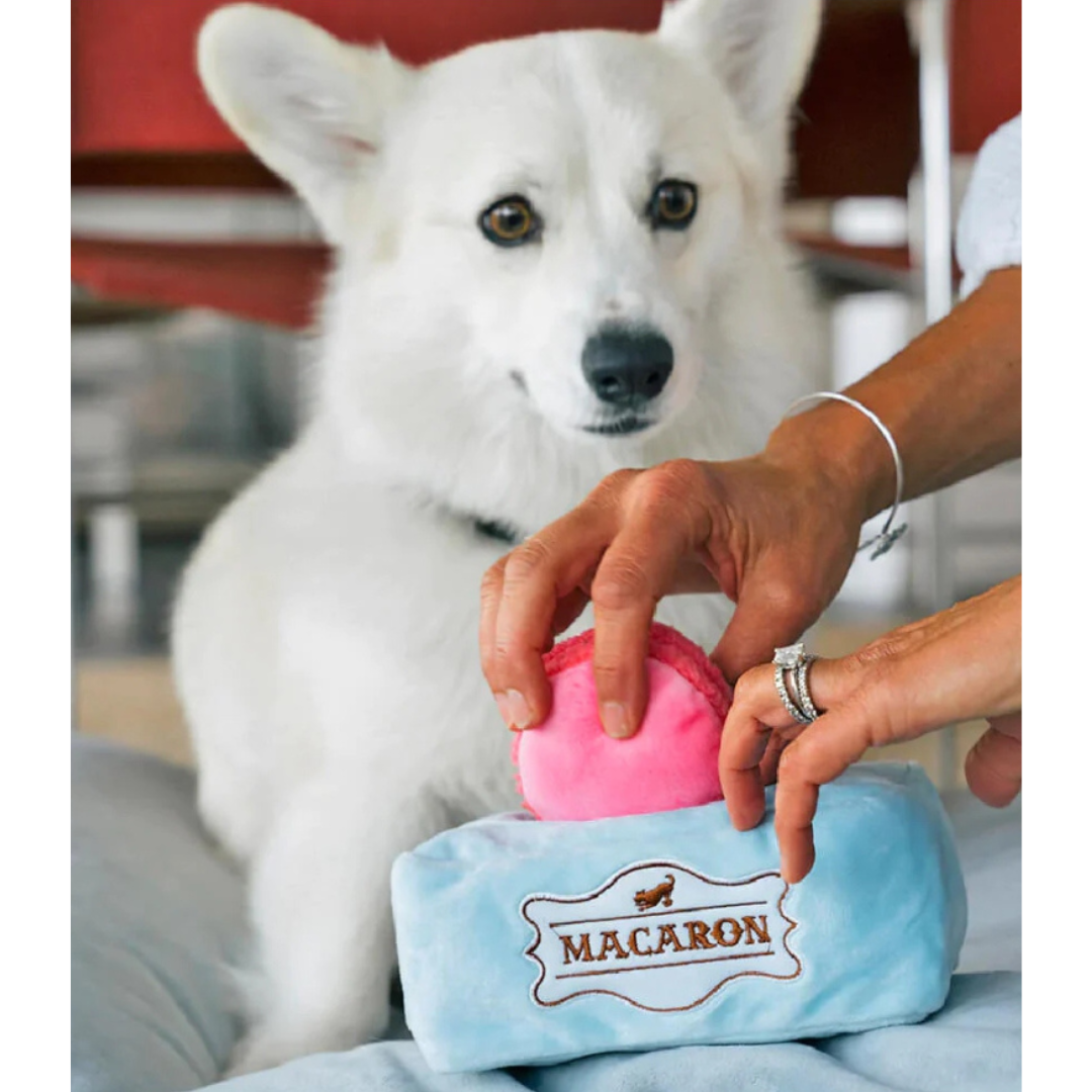 PLAY PUP CUP CAFE MACARONS DOG TOY