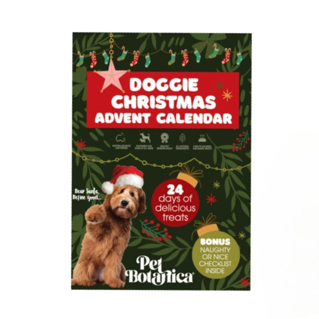 Coco and Pud Pet Botanica Christmas Dog Treat Advent Calendar for Dogs