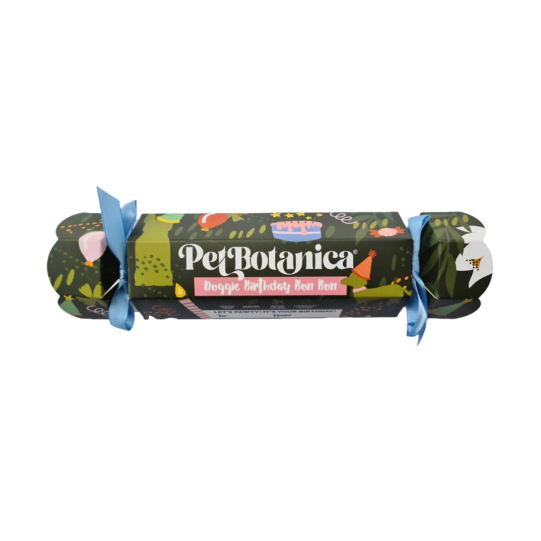 Coco & Pud  Pet Botanica Doggie Birthday Bon Bon - Blue