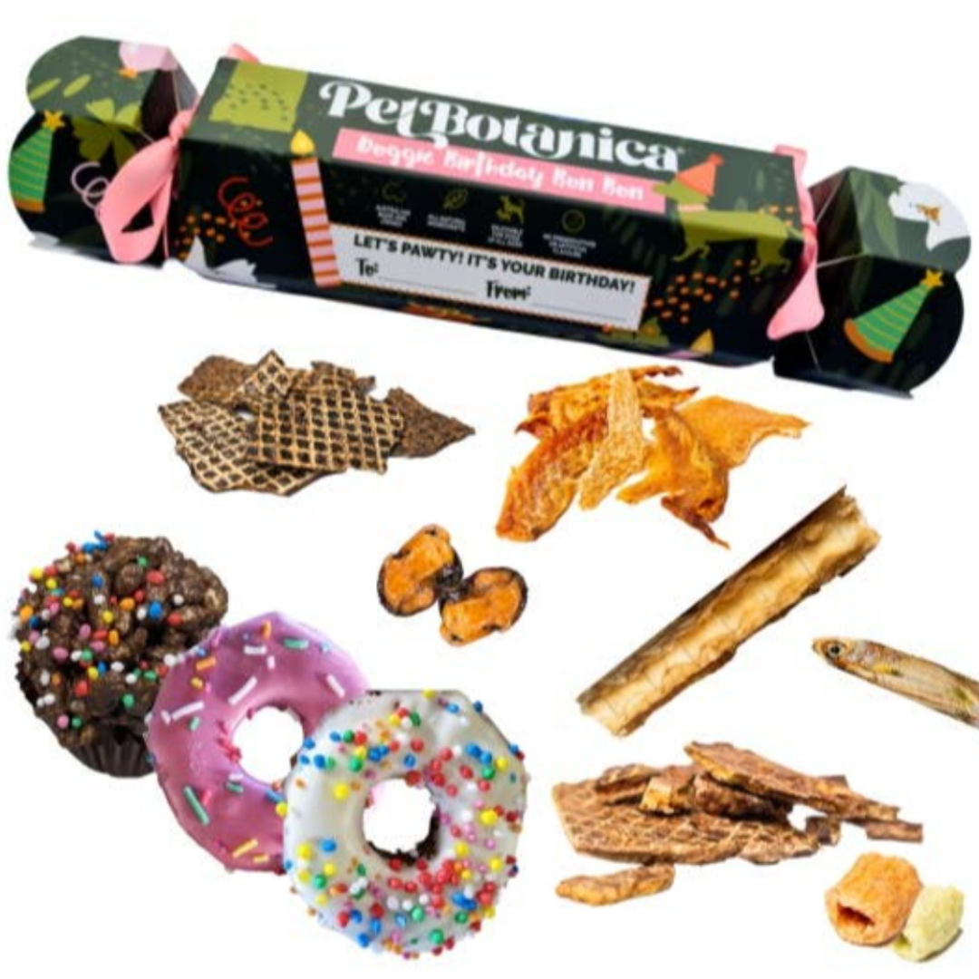 Coco & Pud Pet Botanica Doggie Birthday Bon Bon - Pink