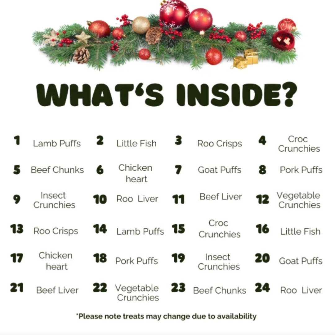 Coco and Pud Pet Botanica Christmas Dog Treat Advent Calendar for Dogs

