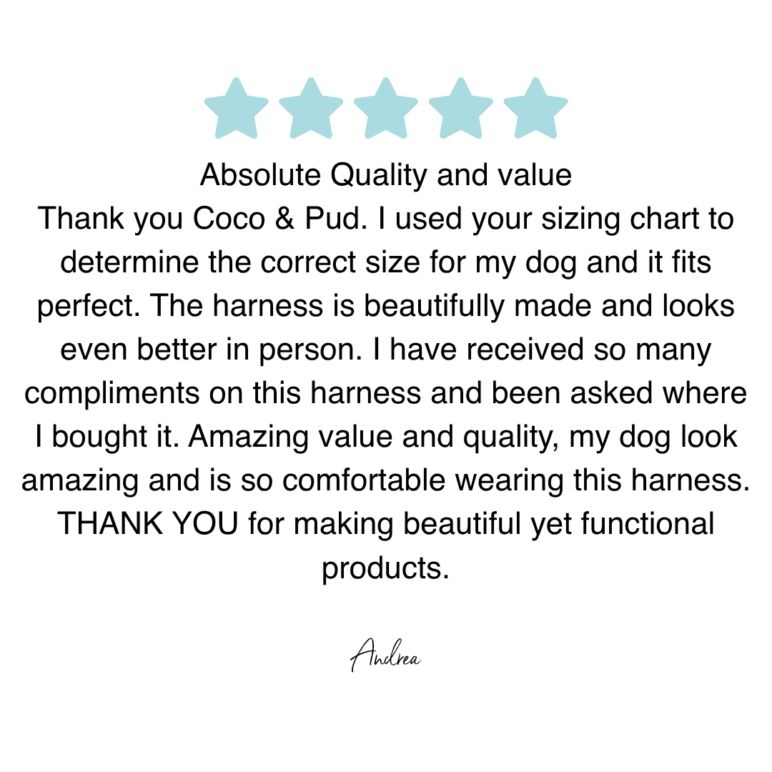 Coco & Pud French Azure Reversible Dog Harness