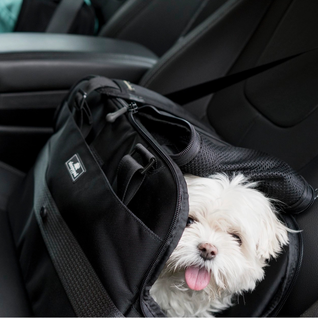 Coco & Pud Sleepypod Atom Pet Carrier in Car