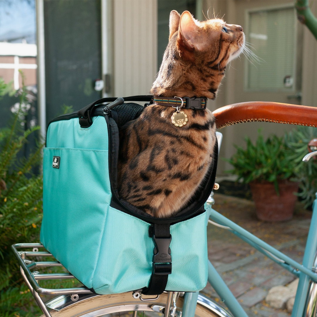 COco & Pud Sleepypod Atom Pet Carrier on bike
