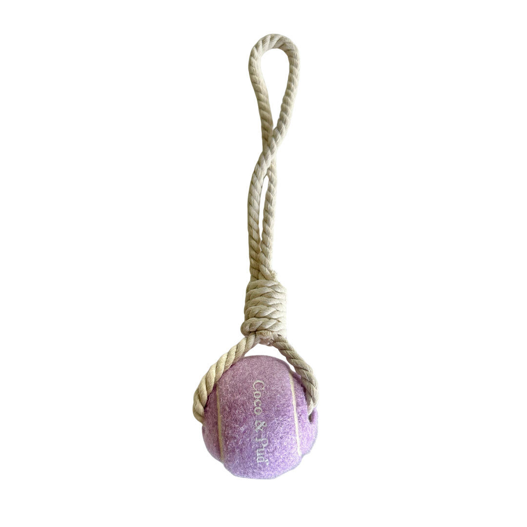 Tennis Ball & Rope Dog Toy - Purple