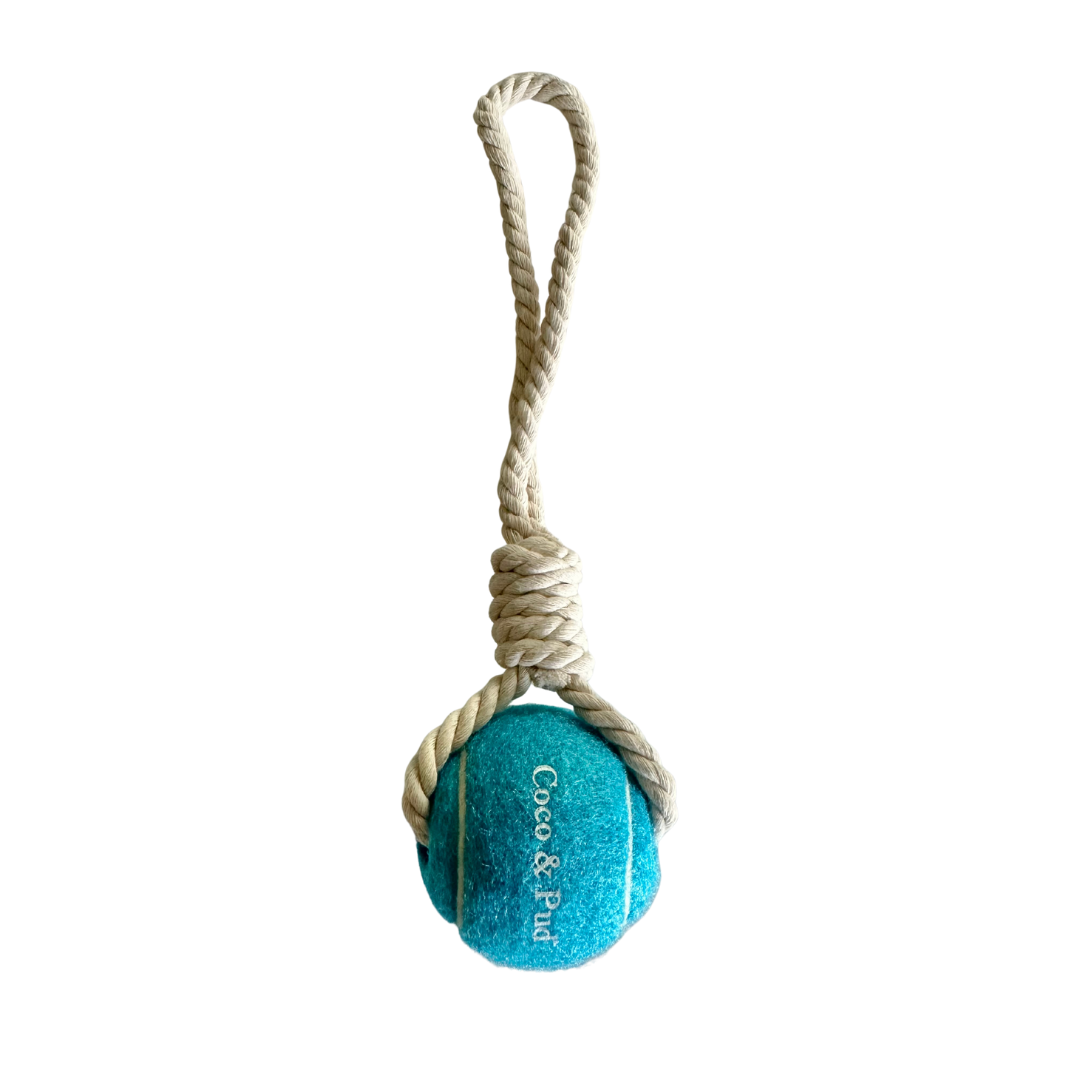 Tennis Ball & Rope Dog Toy - Teal