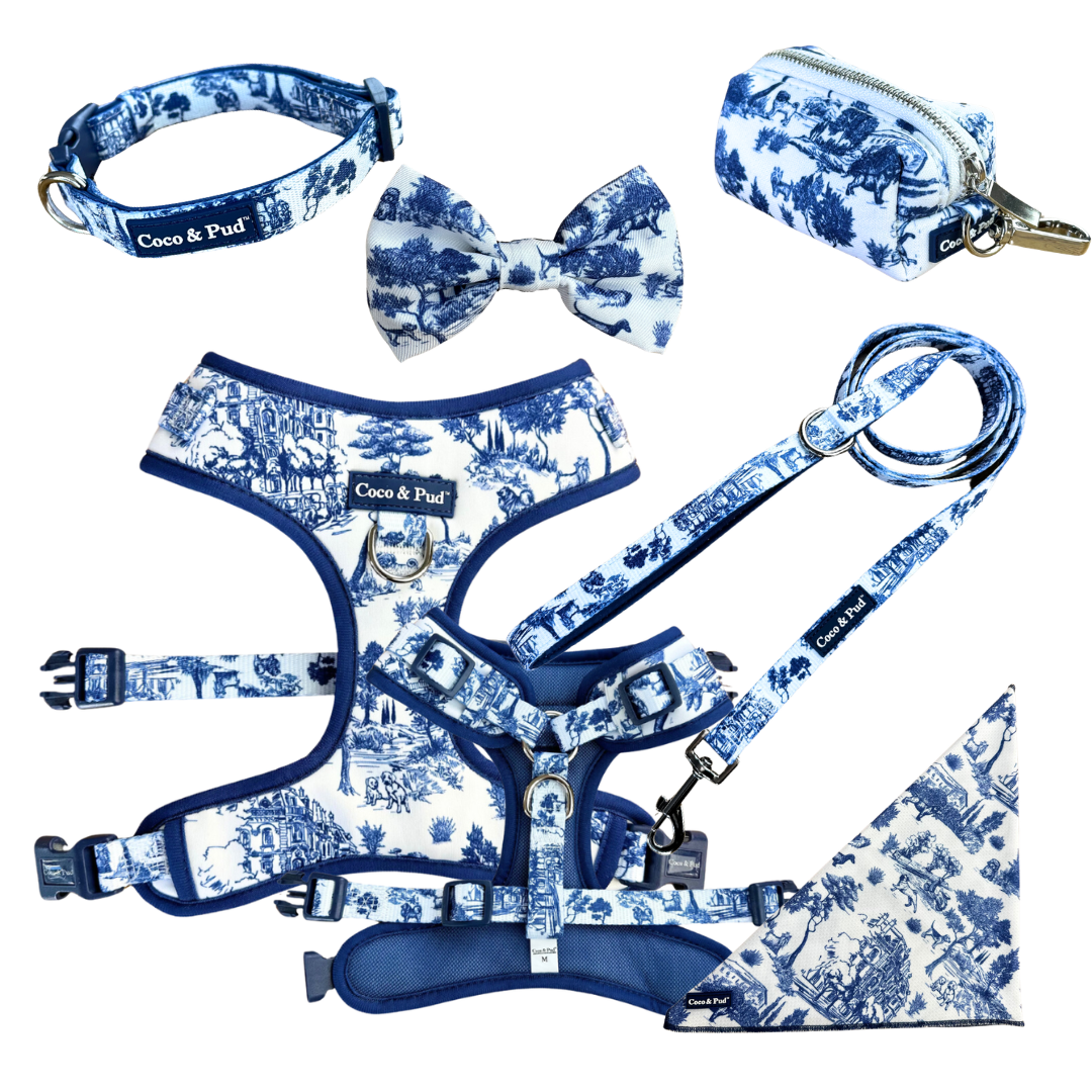 Coco & Pud Toile de Chien Navy  Bundle - SAVE 10%