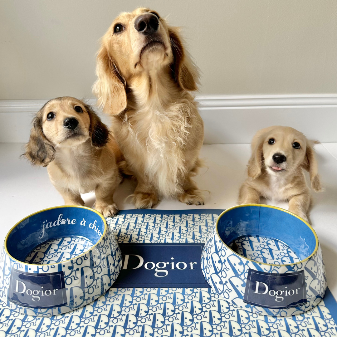 Dogior Pet Placemat