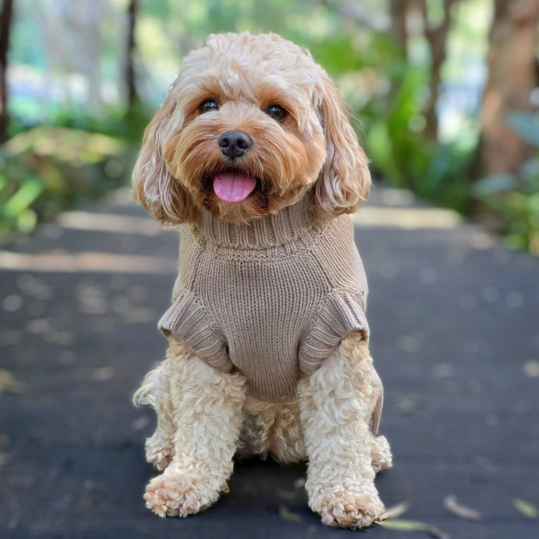 NEW! Coco & Pud Coco Cable Dog Sweater/ Dog Jumper - Mocha