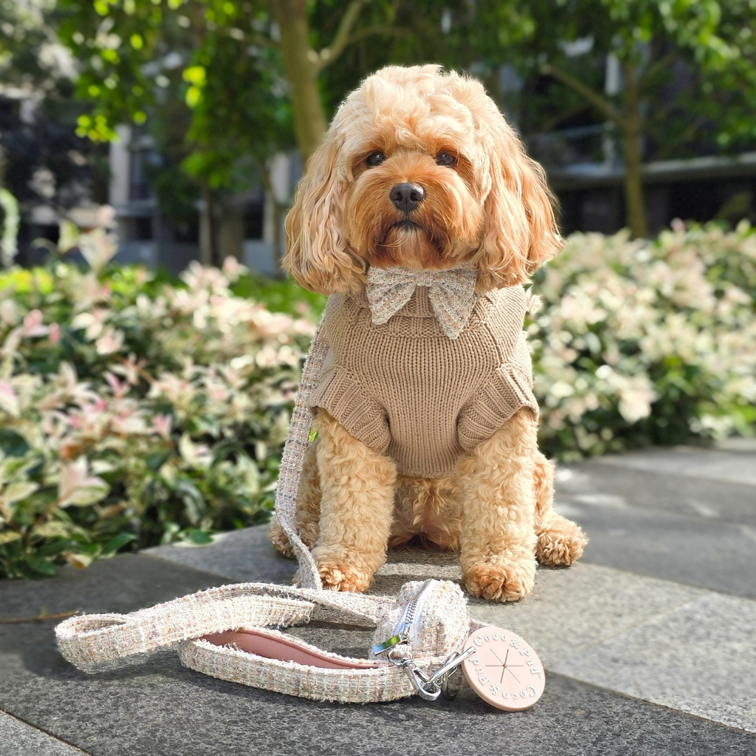 NEW! Coco Cable Dog Sweater/ Dog Jumper - Mocha