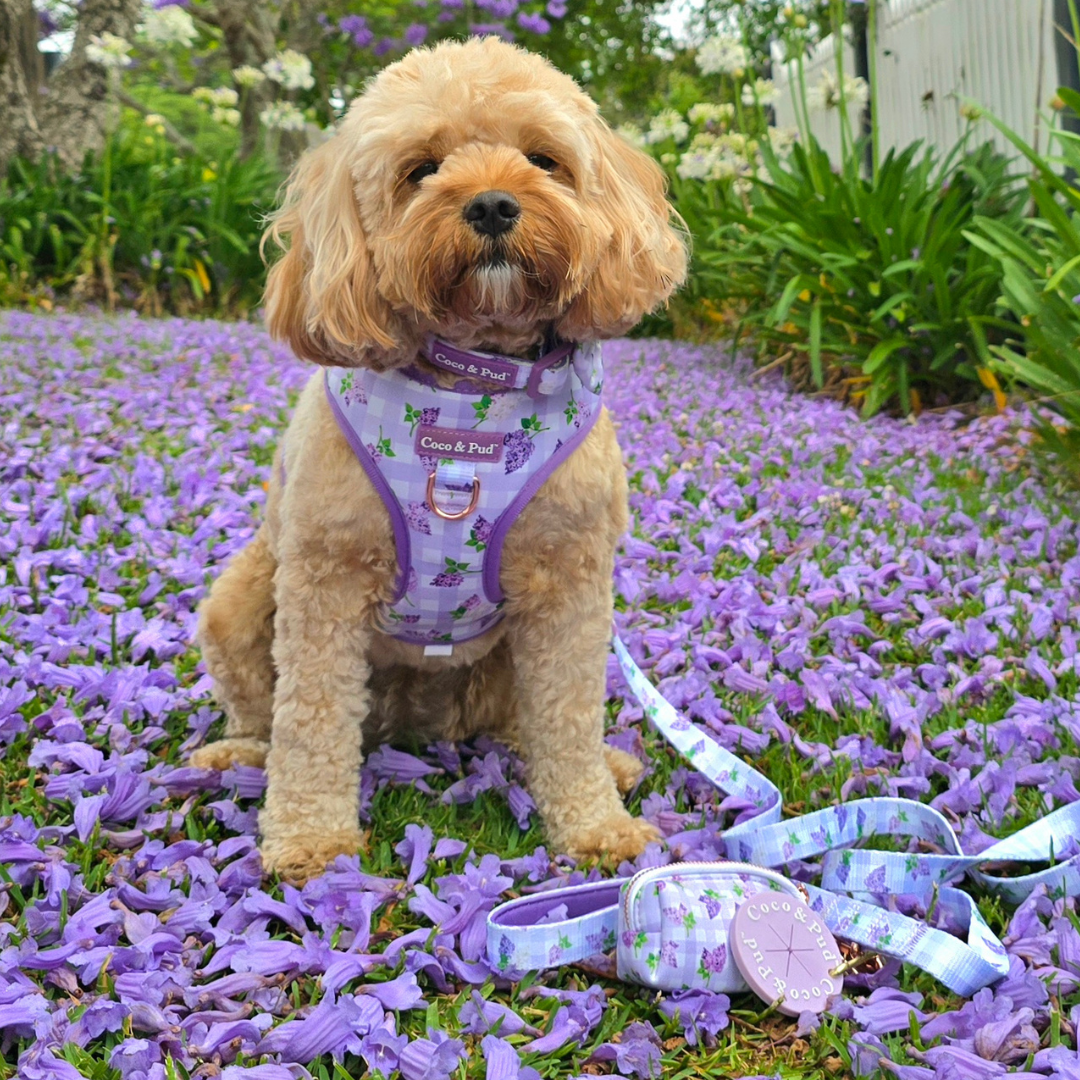 Coco & Pud Gingham Lilac Adjustable Dog Harness