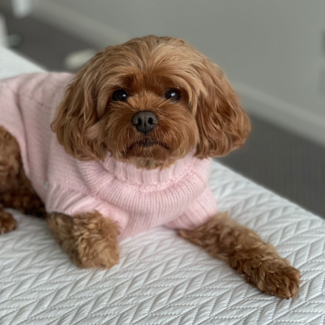 Coco & Pud Coco Cable Dog Sweater/ Dog Jumper - Blush Pink
