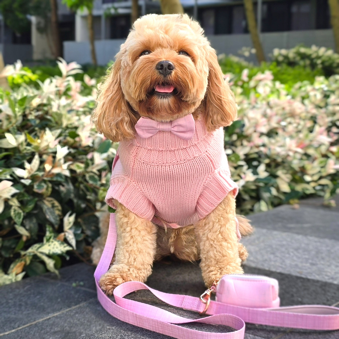 NEW! Coco Cable Dog Sweater/ Dog Jumper - Blossom Pink