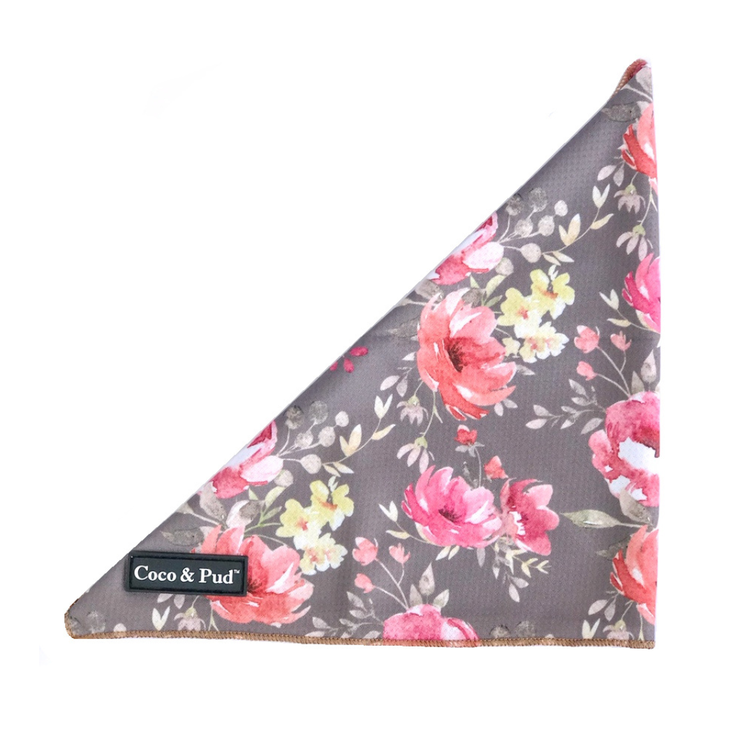 Vintage Garden Dog/Cat Bandana