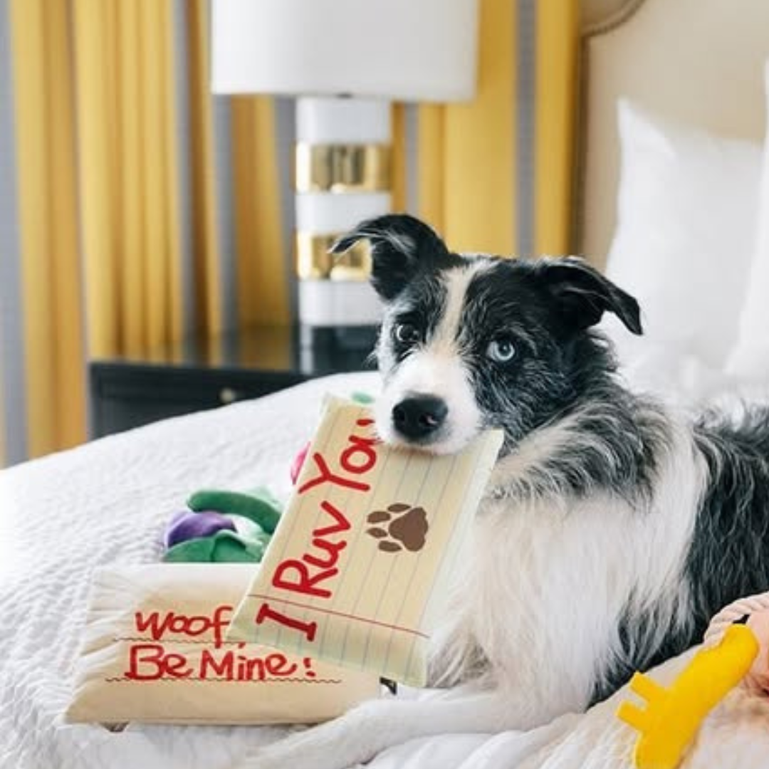 Woof You Be Mine Valentine's Day Dog Toy