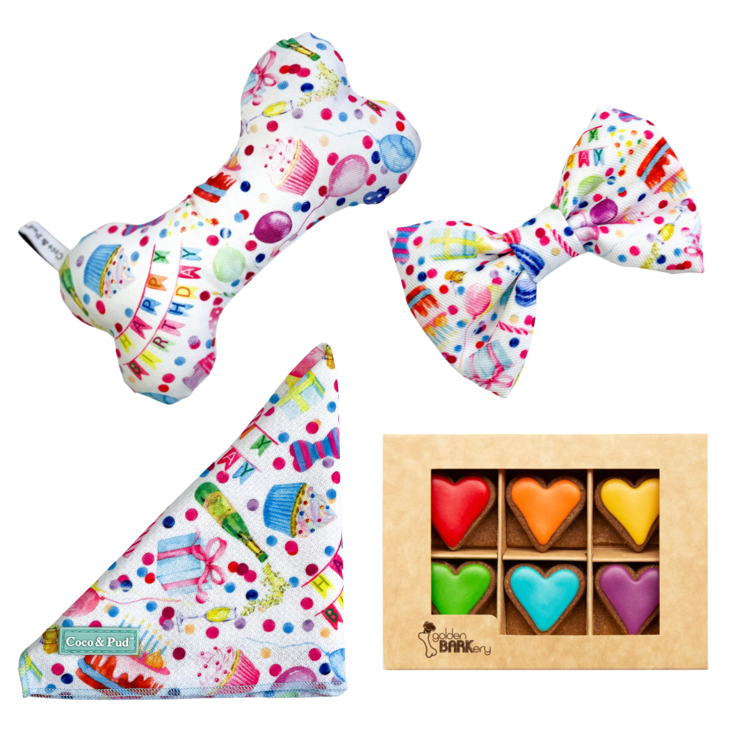Pawsome Party Mini Dog Birthday Hamper - Rainbow Hearts