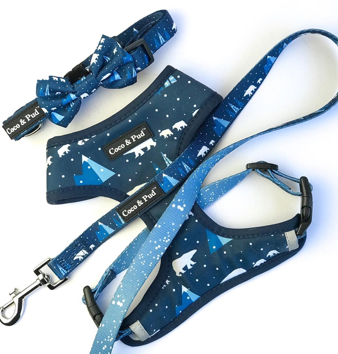 Coco & Pud Arctic Pup Dog Harness Collar and Lead