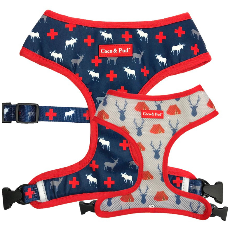 Coco & Pud Adventure Bandana - Coco & Pud