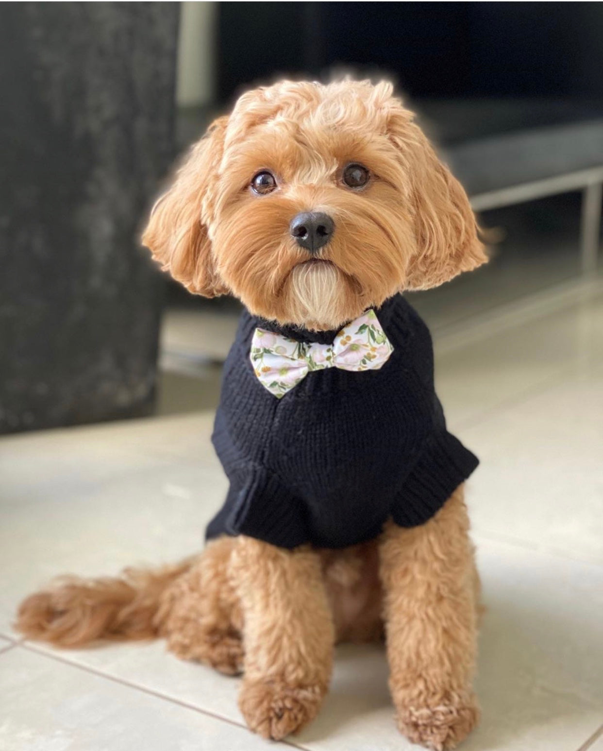 Asta in Coco & Pud Brighton Black Sweater