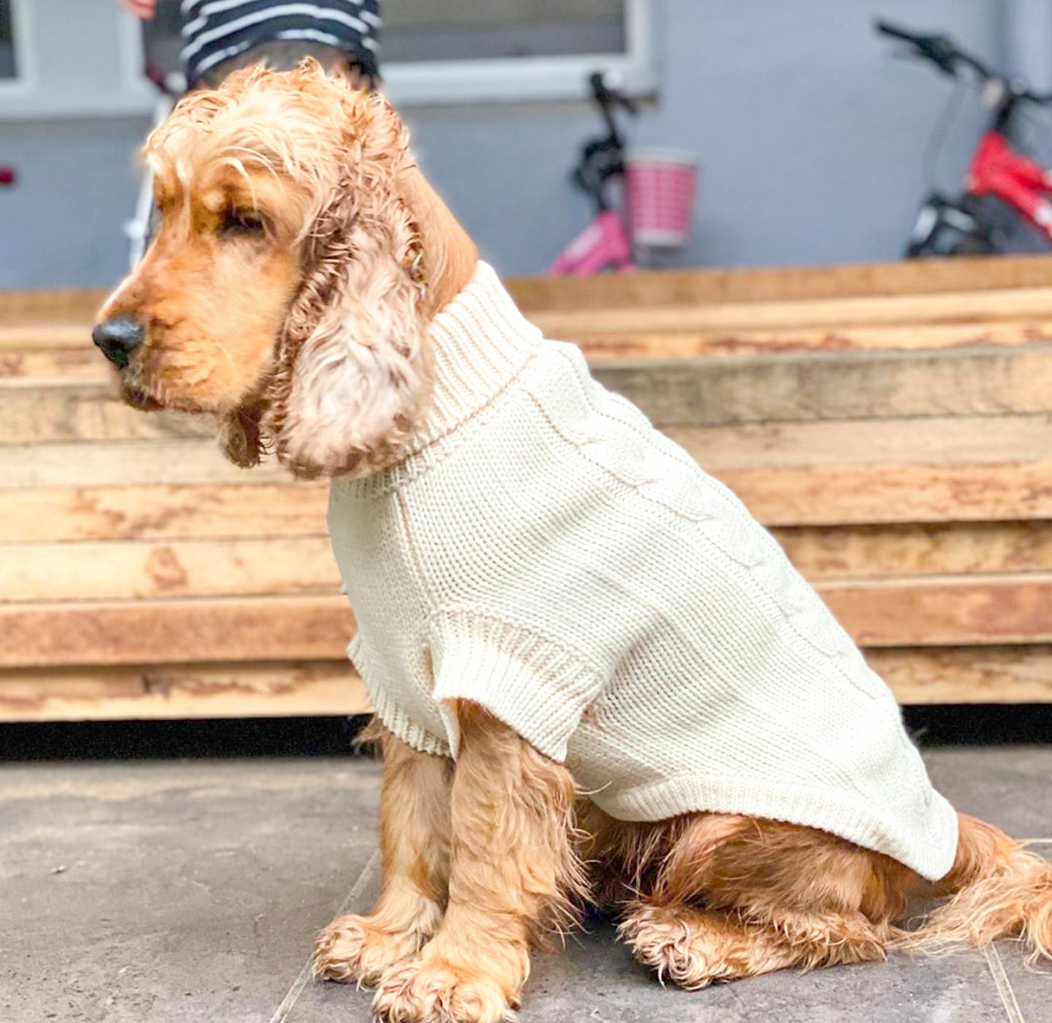 Betti in Coco & Pud Brighton Pet Sweater Cream