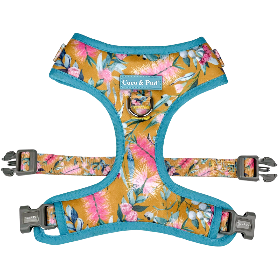 Coco & Pud Brush With Nature Adjustable Dog Harness - front