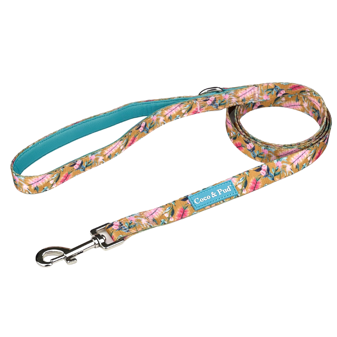 Coco & Pud Brush With Nature Dog Lead/ Leash