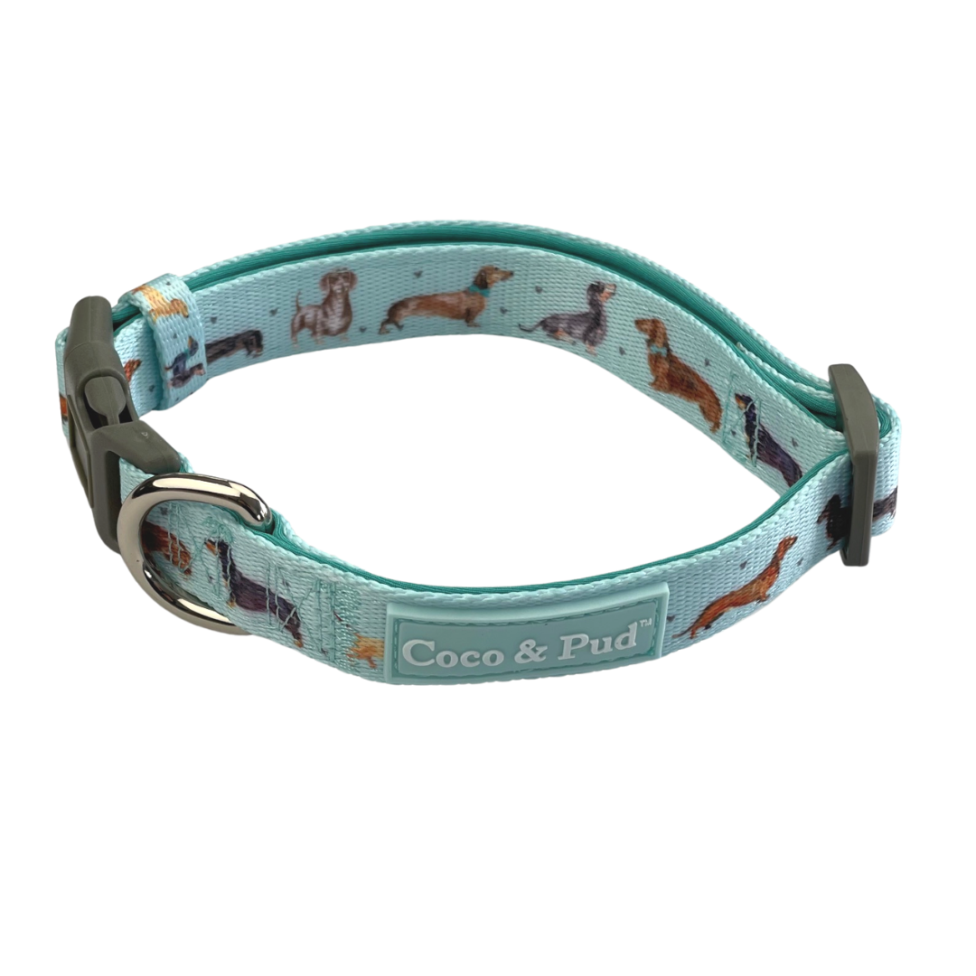 Coco & Pud Doxie Love Dog Collar