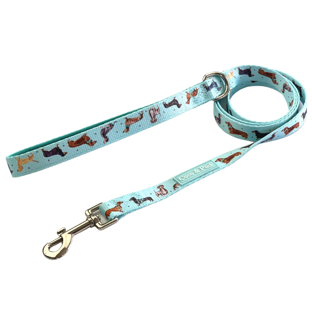 Coco & Pud Doxie Love Dog Lead/ Leash