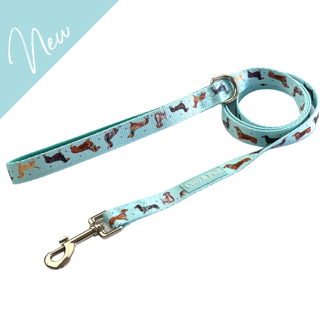 Coco & Pud Doxie Love Dog Lead/ Leash - New