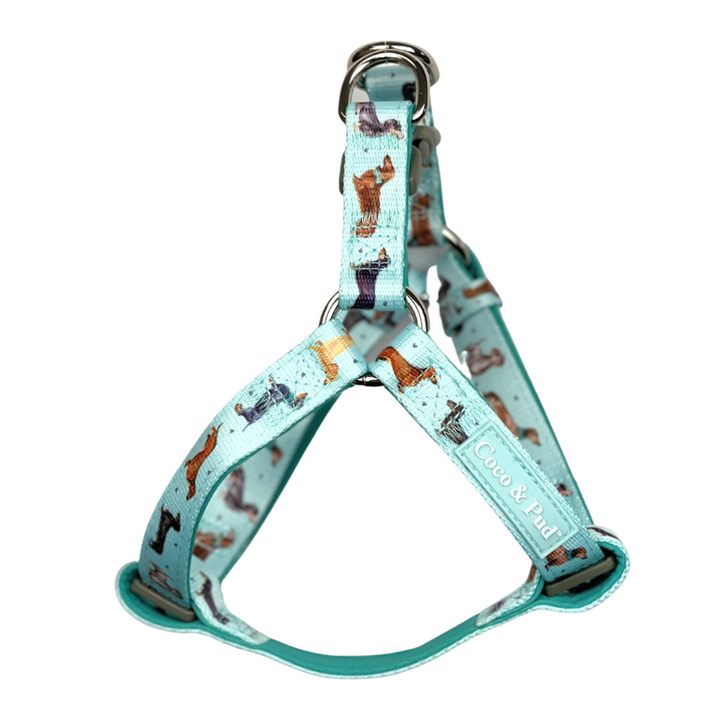 Coco & Pud UniClip Lite Dog Harness