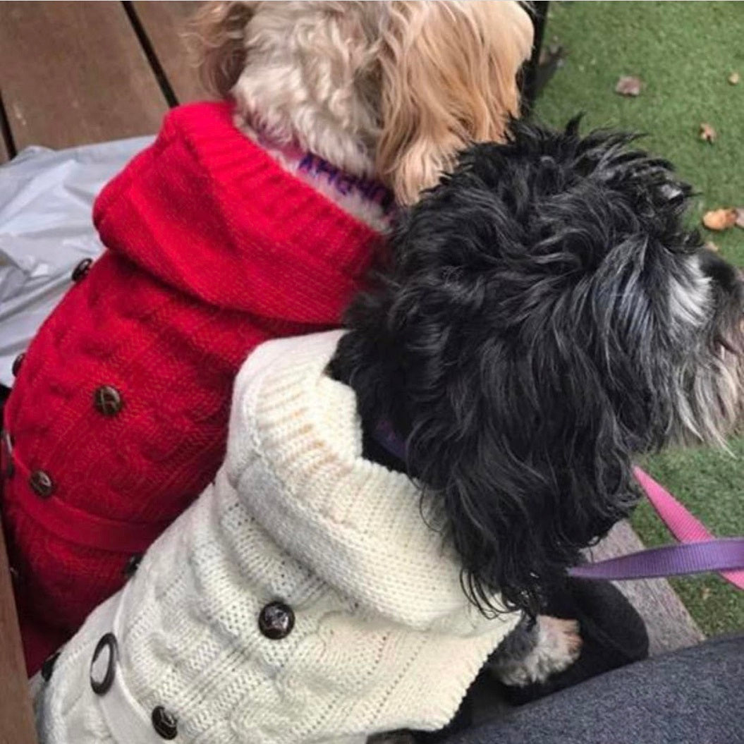 Coco & Pud Paris Dog Sweater - Red - Coco & Pud