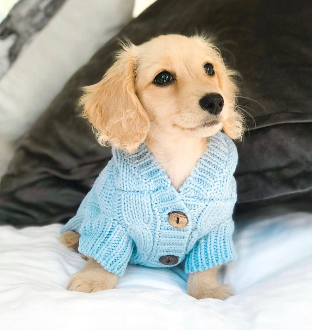 Lola in Coco & Pud Edinbrugh Pet Sweater Blue