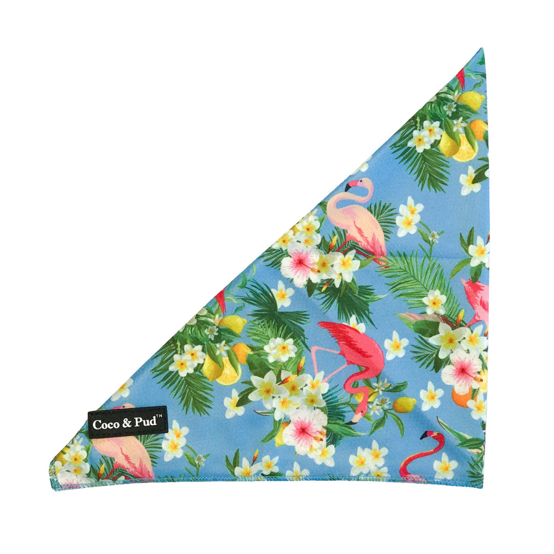 Coco & Pud Flamingo Tropical Bandana - Coco & Pud