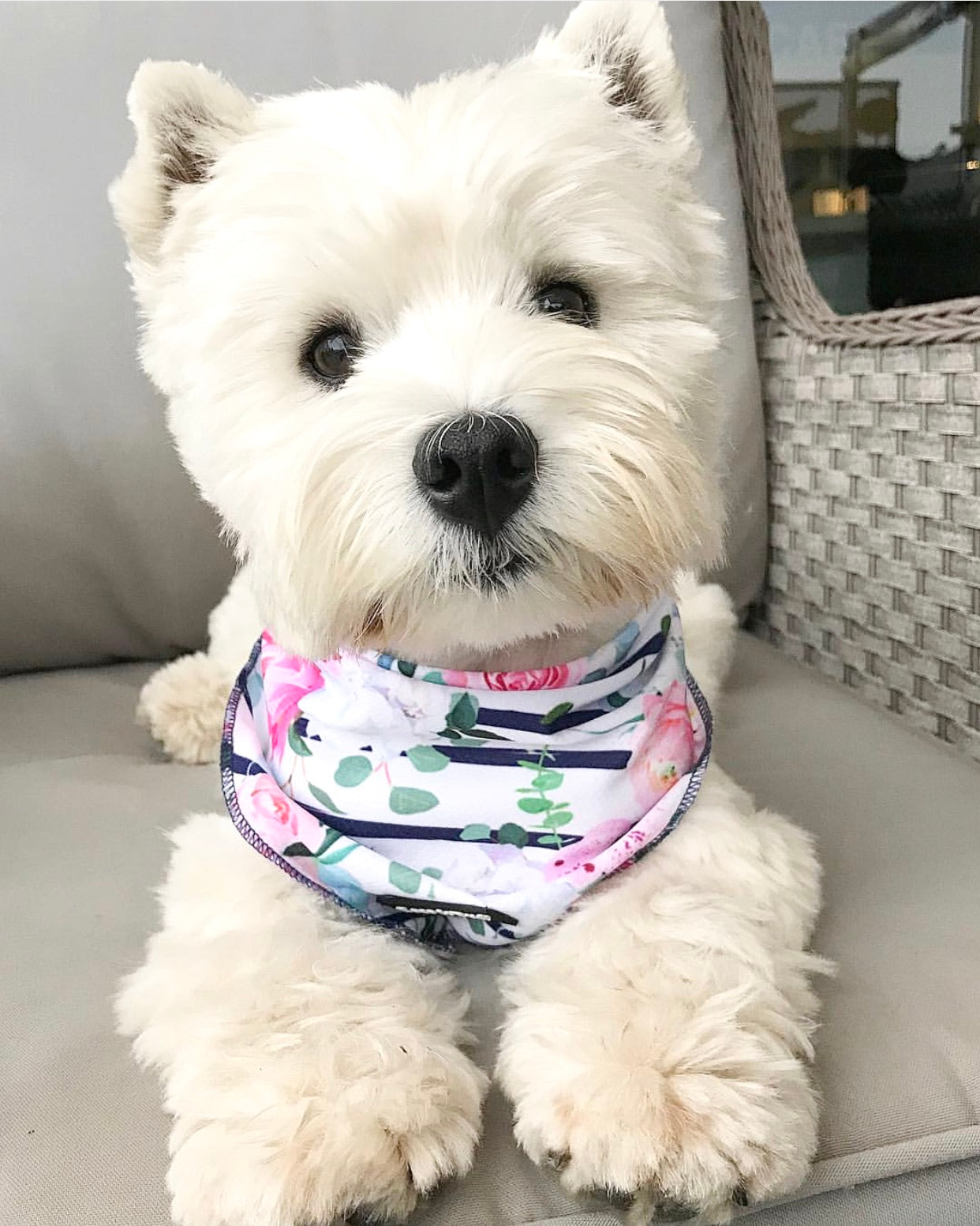 Coco & Pud Floral Blooms Bandana - Coco & Pud