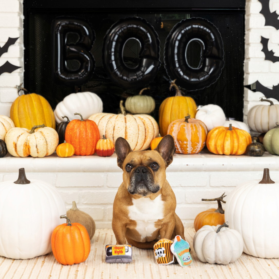 Coco & Pud Fright Nights Halloween Mini dog toys with French bulldog