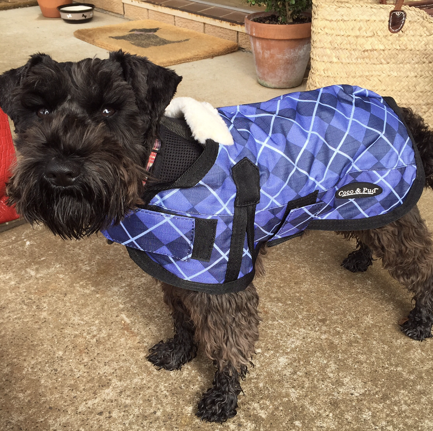 Waterproof Dog Coat 3009 - Blue Check - Coco & Pud