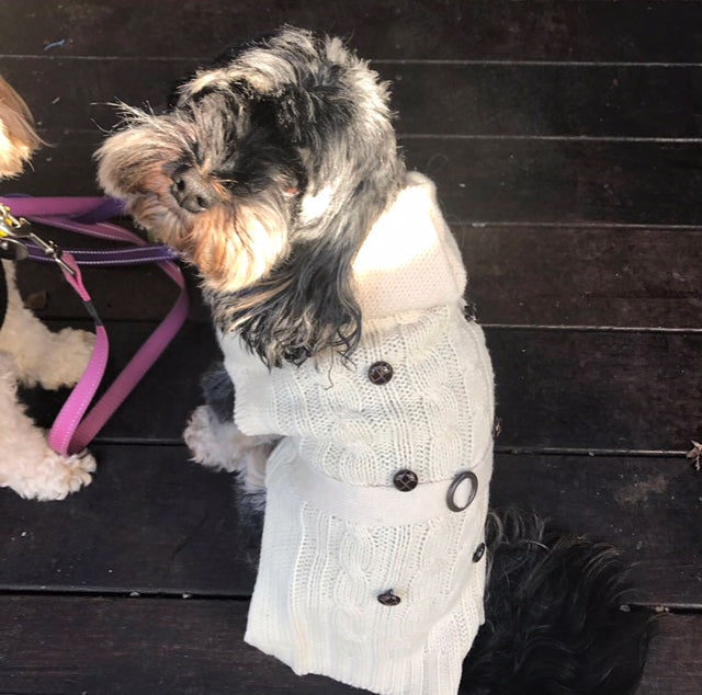 Coco & Pud Paris Dog Sweater - Cream - Coco & Pud