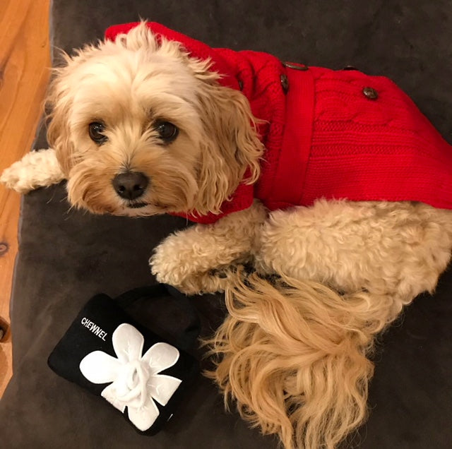 Coco & Pud Paris Dog Sweater - Red - Coco & Pud