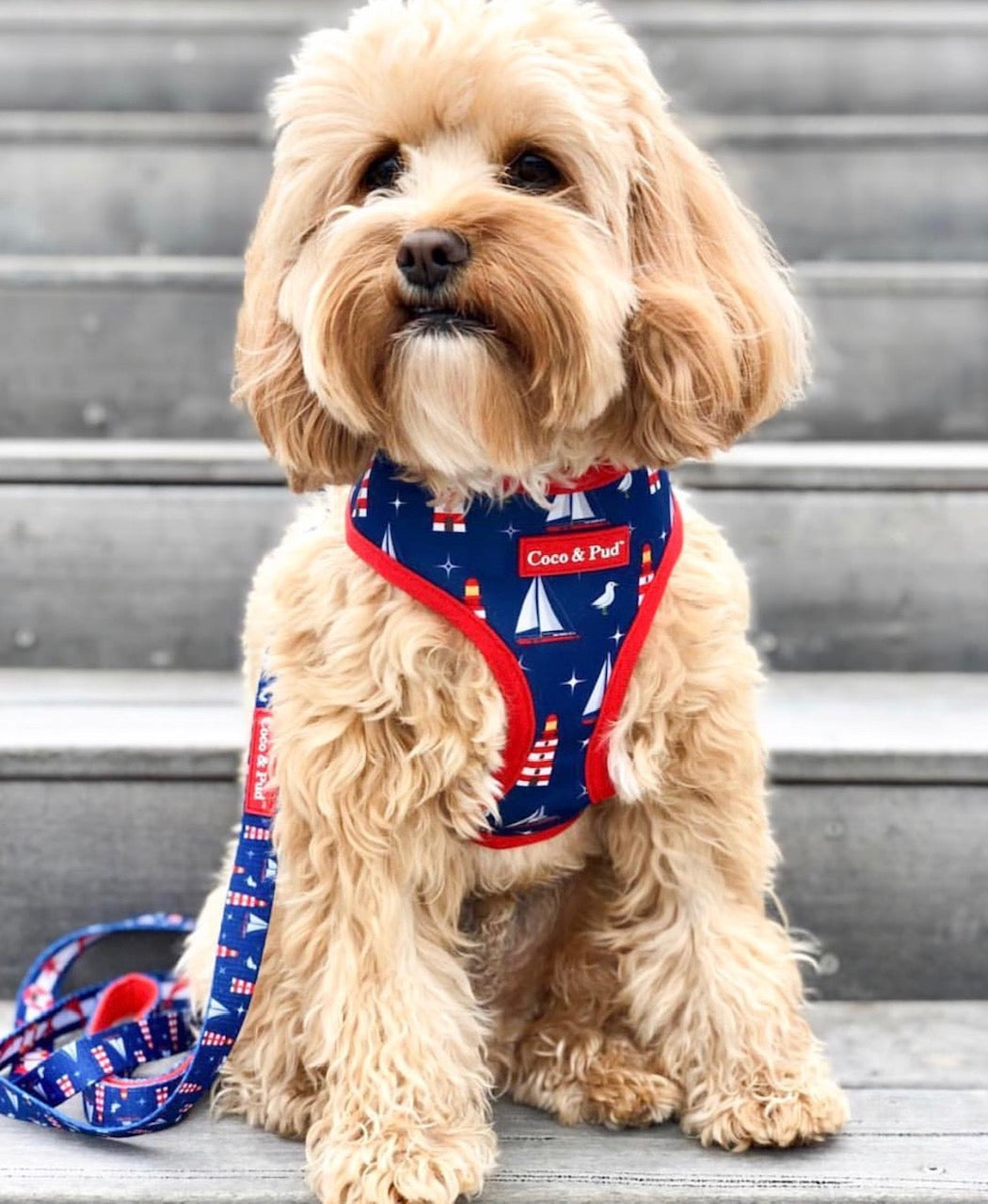 Coco & Pud Hamptons Reversible Dog Harness - Coco & Pud