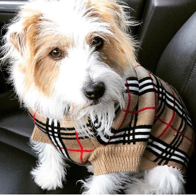 Coco & Pud Knightsbridge Dog Sweater - Beige - Coco & Pud